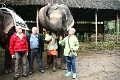 21_promenade_a_dos-elephant_006
