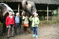 21_promenade_a_dos-elephant_007