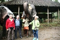 21_promenade_a_dos-elephant_008
