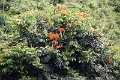 22_plantation_the_005