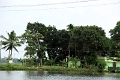 25_promenade_en_backwaters_011