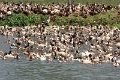 25_promenade_en_backwaters_016