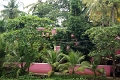 25_promenade_en_backwaters_023