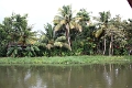 25_promenade_en_backwaters_025