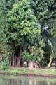 25_promenade_en_backwaters_027
