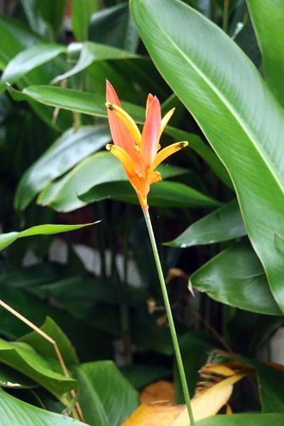 26_hotel_007.jpg
