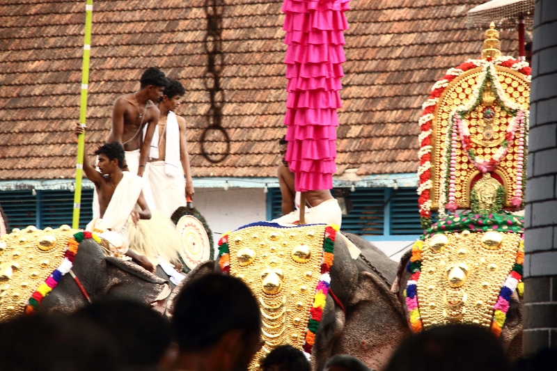 28_temple_elephants_004.jpg