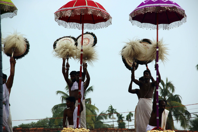 28_temple_elephants_007.jpg