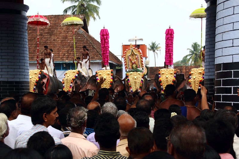 28_temple_elephants_015.jpg