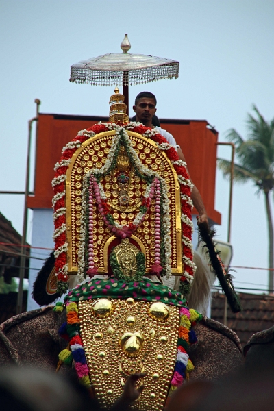 28_temple_elephants_016.jpg