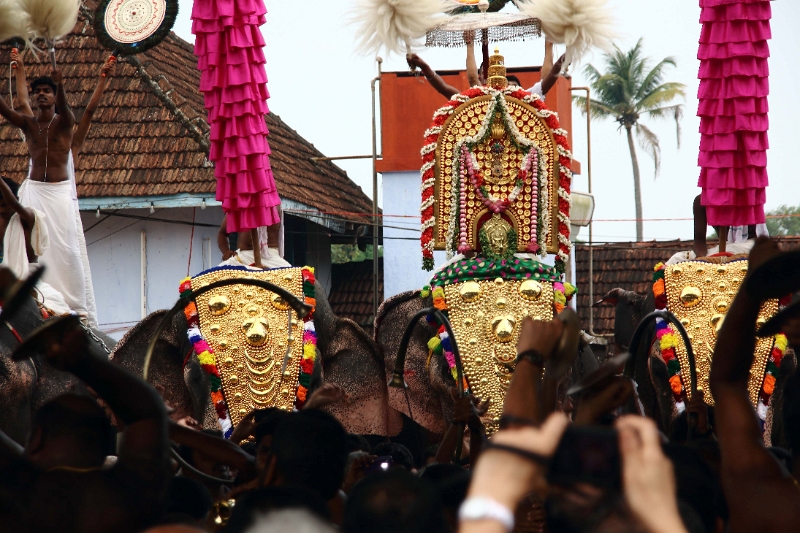 28_temple_elephants_022.jpg