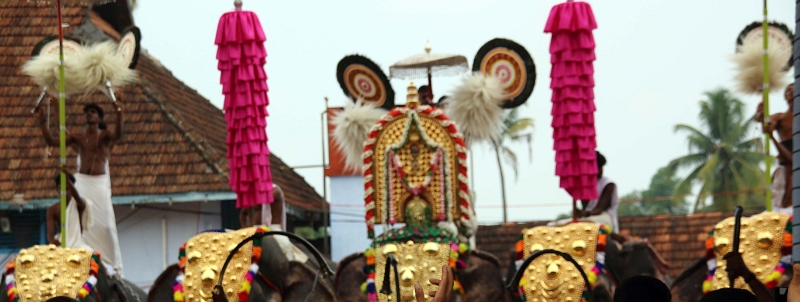 28_temple_elephants_024.jpg