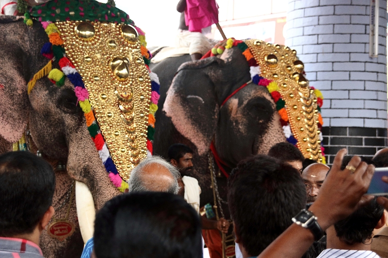 28_temple_elephants_025.jpg