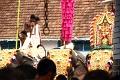 28_temple_elephants_004