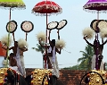 28_temple_elephants_005