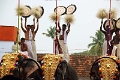 28_temple_elephants_006