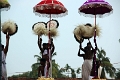 28_temple_elephants_007
