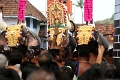 28_temple_elephants_008