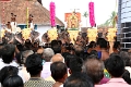 28_temple_elephants_012