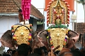 28_temple_elephants_013