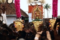 28_temple_elephants_022