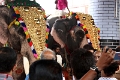 28_temple_elephants_025