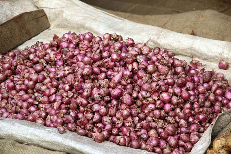 31_marche_cochin_007.jpg
