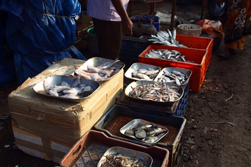 31_marche_cochin_008.jpg