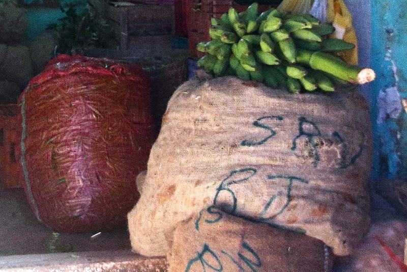 31_marche_cochin_014.jpg