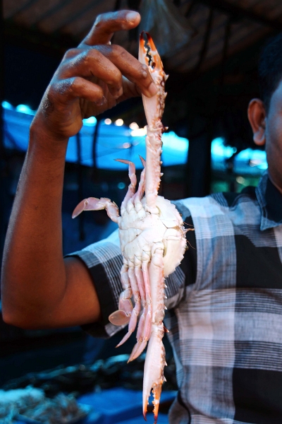 31_marche_cochin_020.jpg