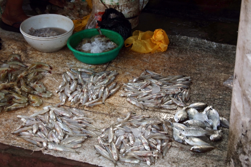 31_marche_cochin_023.jpg