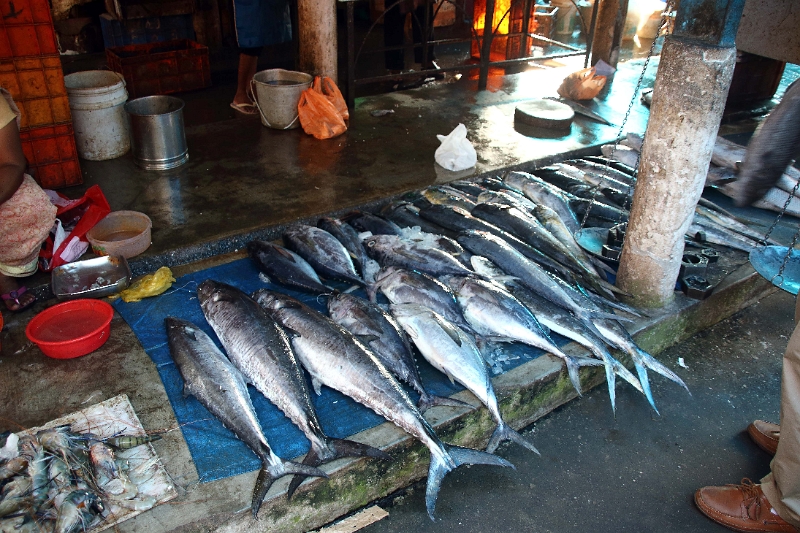 31_marche_cochin_025.jpg