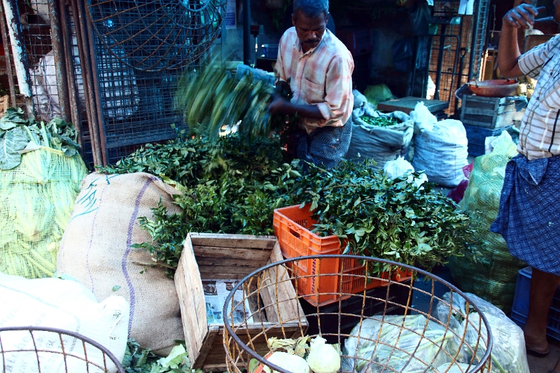 31_marche_cochin_034.jpg
