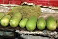 31_marche_cochin_004