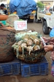 31_marche_cochin_012