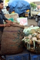 31_marche_cochin_013