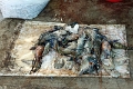 31_marche_cochin_024