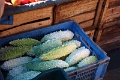 31_marche_cochin_030