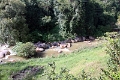 35_toy_train_036