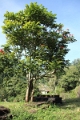 35_toy_train_040