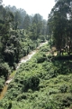 35_toy_train_066