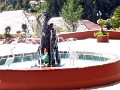 36_restaurant_ooty_003