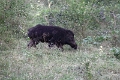 39_traversee_parc_animalier_007