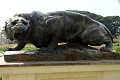 41_mysore_palais_maharadjas_020
