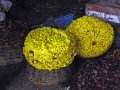 43_mysore_soir_032