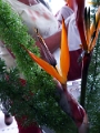 46_hotel_hassan_003