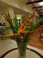 46_hotel_hassan_009