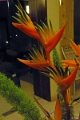 46_hotel_hassan_010