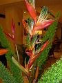 46_hotel_hassan_012