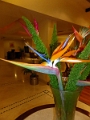 46_hotel_hassan_013